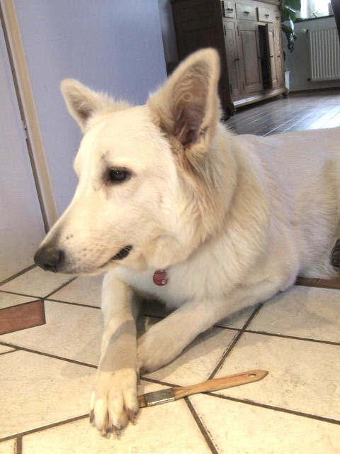 Laska mit Pinsel